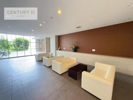 r[@IVŊJԁILXr[ɂ̓\t@[Ă܂IZlmŃr[łbėFBłłI