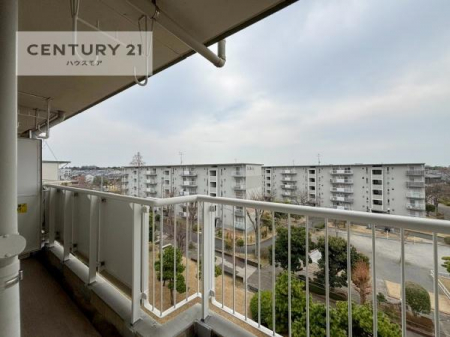 Z˂̒]ʐ^@ZXAC̗ǂʂ蔲X݂łB