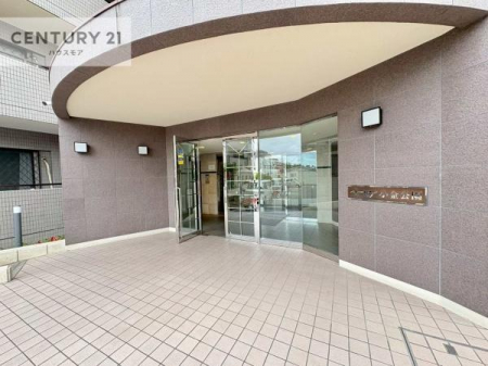 GgX@؂Ȃqlo}GgXBzǂSn̗ǂԂłB