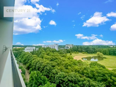 Z˂̒]ʐ^@ZXłI͂ɂ͍ȂA󂪍LJAz傫Ղ邱Ƃ܂IC̗ǂʂ蔲X݂łI