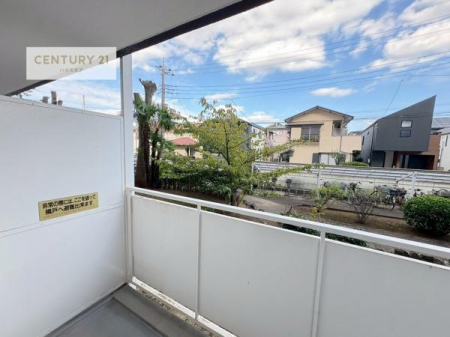 Z˂̒]ʐ^@ZXłI͂ɂ͍ȂA󂪍LJAz傫Ղ邱Ƃ܂IC̗ǂʂ蔲X݂łI