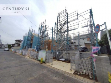 ̑n@OʓH6IzǍDȗnłB
ԌɓꂪȕSłˁB