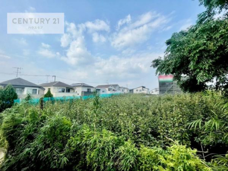 Z˂̒]ʐ^@ZXA͂ɂ͍ȂA΂󂪍LJA
z傫Ղ邱Ƃ܂BC̗ǂʂ蔲X݂łB