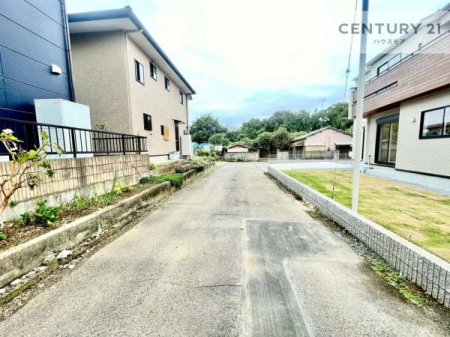 ̑n@OʓH4~4zǍDȗnłB
ԌɓꂪȕSłˁB