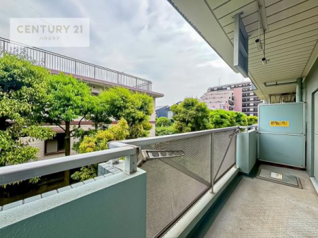 Z˂̒]ʐ^@ꂽɂ͐nJIȎԂy߂܂BC̗ǂʂ蔲X݂łI