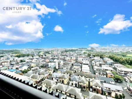 Z˂̒]ʐ^@ZXA͂ɂ͍ȂA΂󂪍LJA
z傫Ղ邱Ƃ܂BC̗ǂʂ蔲X݂łB