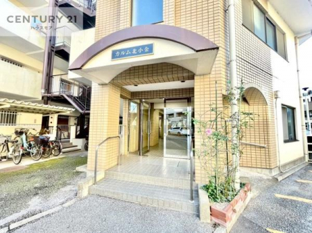 GgX@؂Ȃqlo}GgXBzǂSn̗ǂԂłB