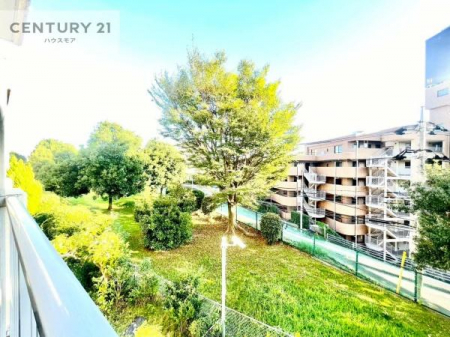 Z˂̒]ʐ^@ꂽɂ͐nJIȎԂy߂܂BC̗ǂʂ蔲X݂łI
