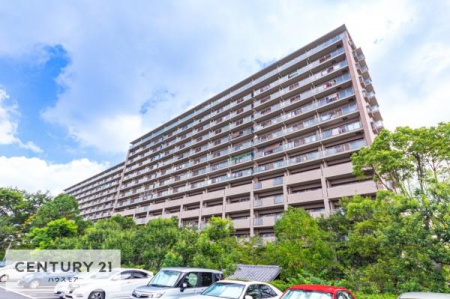 ̑n@u܂͎I͂܂ȁBvƂql劽}łIZ`[21nEXÁASĂ̂qlS͂ŃT|[gĒ܂BЈxA⍇I