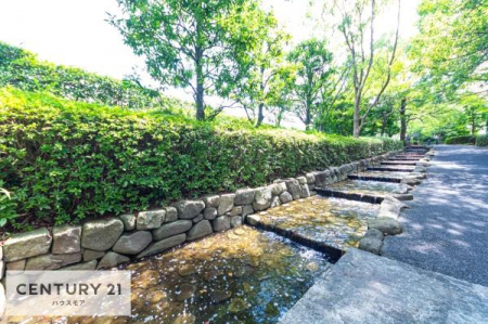 ̑p@~n͗΂ςłI
VĈxɂ͗΂ς̕~nC]ɎUłˁB