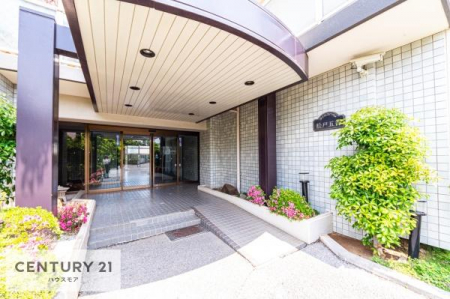 GgX@؂Ȃqlo}GgXBzǂSn̗ǂԂłB