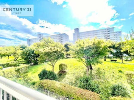 Z˂̒]ʐ^@ZXA͂ɂ͍ȂA΂󂪍LJ܂I
z傫Ղ邱Ƃ܂BC̗ǂʂ蔲X݂łB