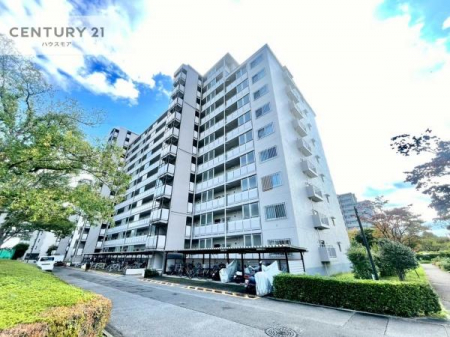 ̑n@TRcBT|CgBKȂZ܂Ƃ̏o̂`v܂I
łCyɂ⍇B