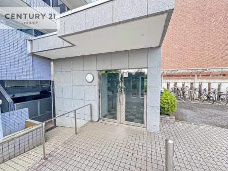 GgX@؂Ȃqlo}GgXBzǂSn̗ǂԂłB