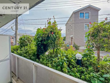 Z˂̒]ʐ^@ꂽɂ͐nJIȎԂy߂܂BC̗ǂʂ蔲X݂łI
