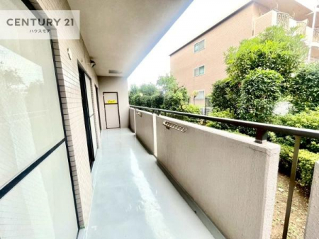 oRj[@LXƂĂoRj[łI󕨂̂͂񕗂ɓȂ炭났^C܂I