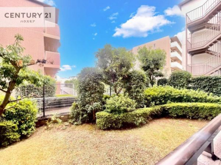 Z˂̒]ʐ^@ZXłI͂ɂ͍ȂA󂪍LJAz傫Ղ邱Ƃ܂IC̗ǂʂ蔲X݂łI