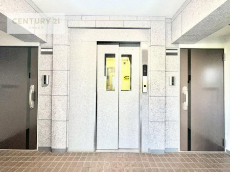 ̑p@Gx[^[Iɔꂽ◼ɂוł炭炭AłłˁB