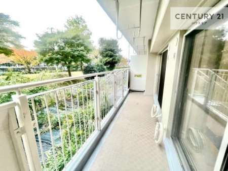 Z˂̒]ʐ^@ꂽɂ͐nJIȎԂy߂܂BC̗ǂʂ蔲X݂łI
