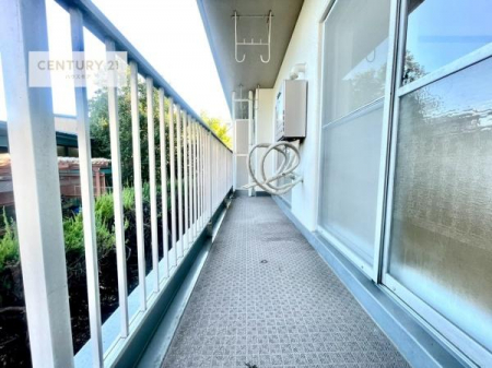 oRj[@LXƂĂoRj[łI󕨂̂͂񕗂ɓȂ炭났^C܂I