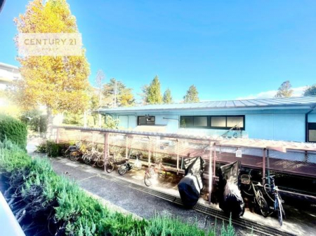 Z˂̒]ʐ^@ꂽɂ͐nJIȎԂy߂܂BC̗ǂʂ蔲X݂łI
