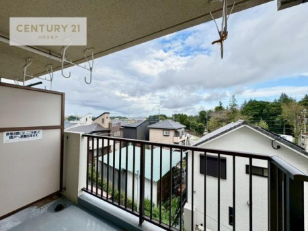 Z˂̒]ʐ^@ZXA͂ɂ͍ȂA΂󂪍LJA
z傫Ղ邱Ƃ܂BC̗ǂʂ蔲X݂łB