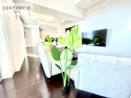 rO@Dz܂肪rOłċSn̗ǂԂoĂ܂I
RƉƑWbSn悢ԁI