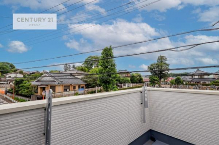 Z˂̒]ʐ^@ZXA͂ɂ͍ȂA΂󂪍LJ܂I
z傫Ղ邱Ƃ܂BC̗ǂʂ蔲X݂łB