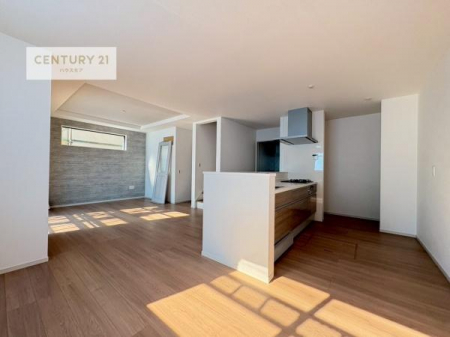 rO@SnǂrO͉ƑRƏW܂܂BƑcR̎ԂłBƑƁAw[Ԃ߂łˁB㕔Ŗ邭JIȋԂłB