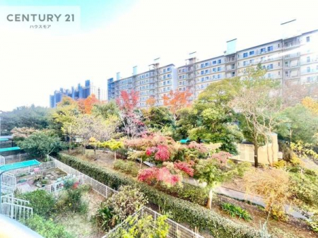 Z˂̒]ʐ^@ZXA͂ɂ͍ȂA΂󂪍LJA
z傫Ղ邱Ƃ܂BC̗ǂʂ蔲X݂łB