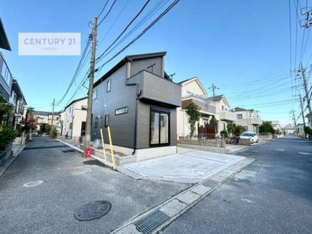 ̑n@OʓH4~5zǍDȗnłB
ԌɓꂪȕSłˁB