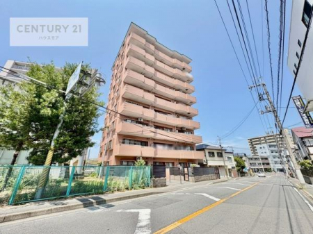 nOώʐ^@VKmx[VłIӊ⑼܂Ƃ߂Ăē\łIsY̎ȂǂȎłCyɂkB