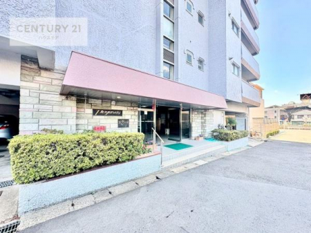 GgX@؂Ȃqlo}GgXBzǂSn̗ǂԂłB