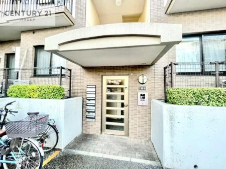 GgX@؂Ȃqlo}GgXBzǂSn̗ǂԂłB