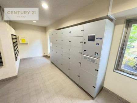 ̑p@zBOXtŕsݎłו󂯎ĂƂĂ֗Im点͂łˁBƎӂ̏񂪒m肽܂A⍇킹𒸂ΑɑΉ܂B