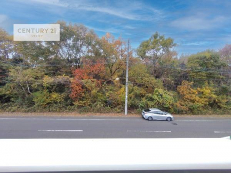 Z˂̒]ʐ^@ZXłI͂ɂ͍ȂA󂪍LJAz傫Ղ邱Ƃ܂IC̗ǂʂ蔲X݂łI