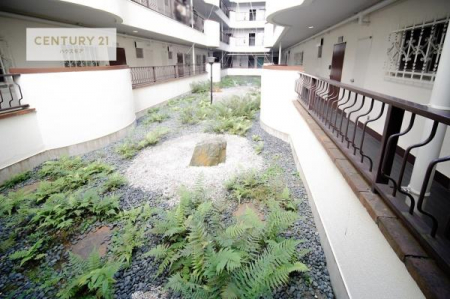 ̑p@~n͗΂ςłI
VĈxɂ͗΂ς̕~nC]ɎUłˁB