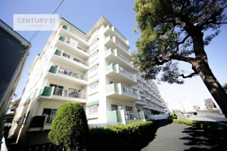 ̑n@zAʂǍDȗnłB񂨋Cyɂ₢킹B