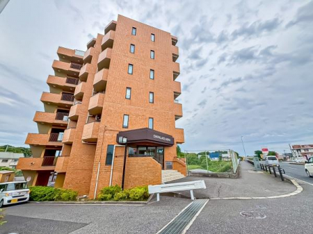 ̑n@邢͋C̕YIKȓ퐶܂I