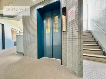 ̑p@Gx[^[̉K}VB dוxr[J[𗘗pۂX[YɈړłAȂqܘA₲̕ɂSłB