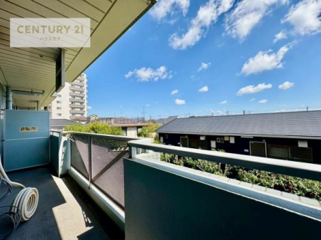 Z˂̒]ʐ^@ꂽɂ͐nJIȎԂy߂܂BC̗ǂʂ蔲X݂łI
