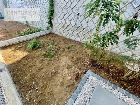 @zǍDȂłIꂽɂ͐nJIȎԂy߂܂B