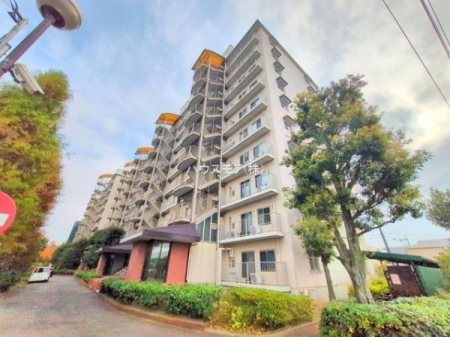 ���n�O�ώʐ^�@���t�H�[�����ł��I���ӊ��⑼�������܂Ƃ߂Ă��ē��\�ł��I�s���Y�̎��Ȃ�ǂ�Ȏ��ł����C�y�ɂ����k���������B