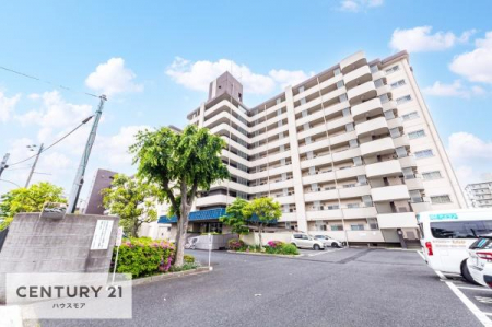 ���n�O�ώʐ^�@���t�H�[�����ł��I���ӊ��⑼�������܂Ƃ߂Ă��ē��\�ł��I�s���Y�̎��Ȃ�ǂ�Ȏ��ł����C�y�ɂ����k���������B