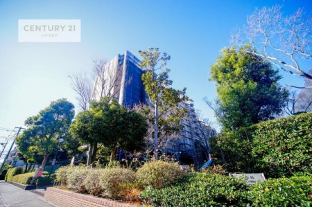 ���̑����p���@�u���̕����C�ɂȂ�I�v�u�������Ăǂ�ȏ��H�v�u�����Əڂ����m�肽���I�v�Ǝv������A���C�y�ɂ����k���������B