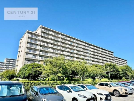 ���̑����n�@�����T���̂������E���v�]�E������ȂǁA���Ȃ�ƕ��ЃX�^�b�t�܂ł��\���t�����������I�s���Y�Ɋւ��邱�ƂȂ�A�ǂ̂悤�Ȃ��Ƃł����S���ӑΉ������Ē����܂��B