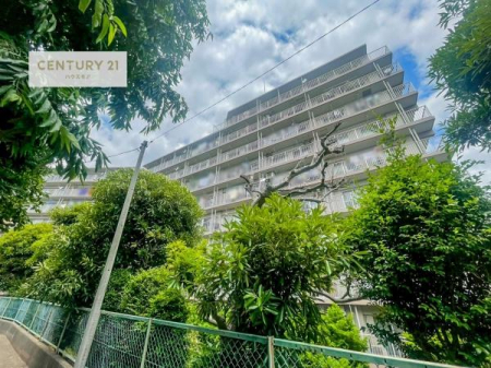 ���̑����n�@�u���̕����C�ɂȂ�I�v�u�������Ăǂ�ȏ��H�v�u�����Əڂ����m�肽���I�v�Ǝv������A���C�y�ɂ����k���������B