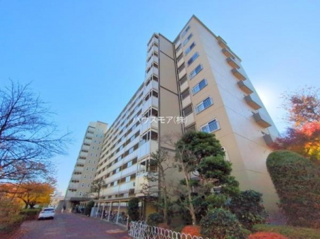 ���̑����n�@�u���̕����C�ɂȂ�I�v�u�������Ăǂ�ȏ��H�v�u�����Əڂ����m�肽���I�v�Ǝv������A���C�y�ɂ����k���������B