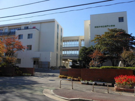 ���ӊ��@-