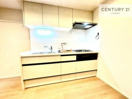 �L�b�`���@�Ǖt�L�b�`���́A�W�����č�ƂɎ��|����܂��I��Ƃ̓������N���N�I
�����̗��������肻���ł��ˁI���[�X�y�[�X���L�x�ŁA�����X�y�[�X���X�b�L���ƕЕt���Ђ�`�����p�ł��܂��I